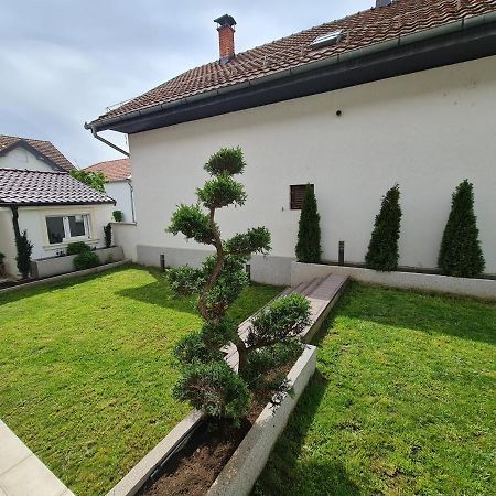 Vila Cander Apartment Kladovo Bagian luar foto